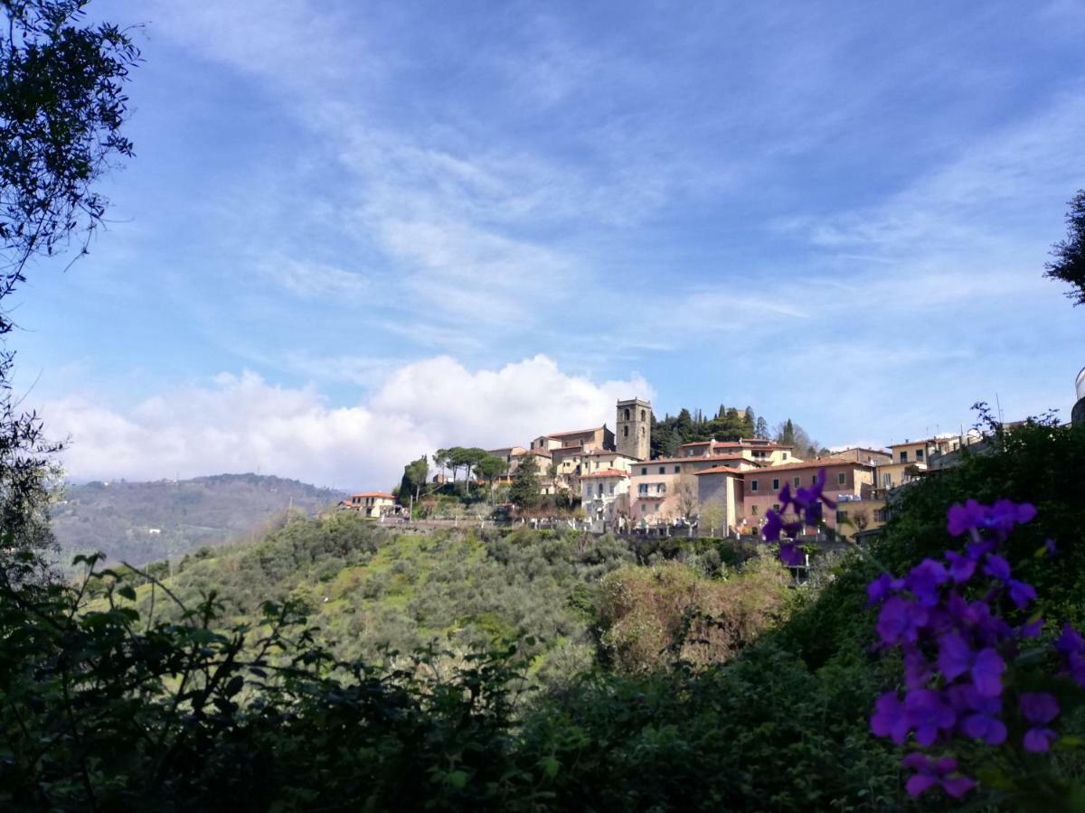 Casa Dalia Lägenhet Montecatini Terme Exteriör bild